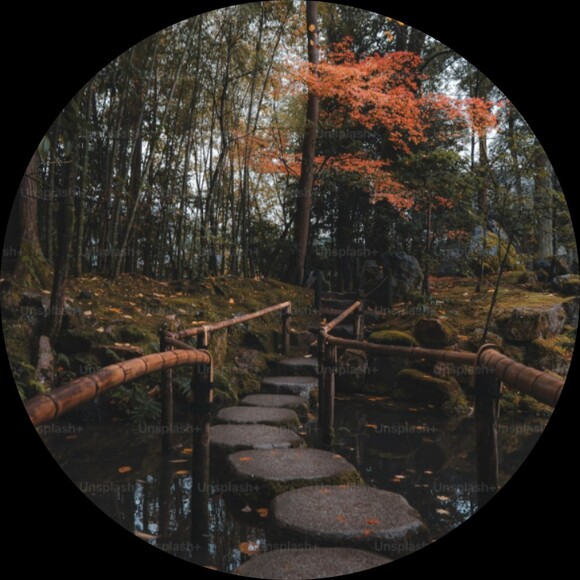ecofocusedfinds